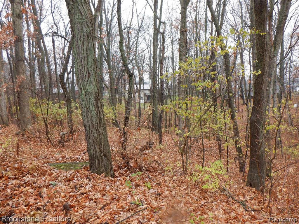 1822 HEIGHTS DR, Brooklyn, MI 49230 — Photo 36