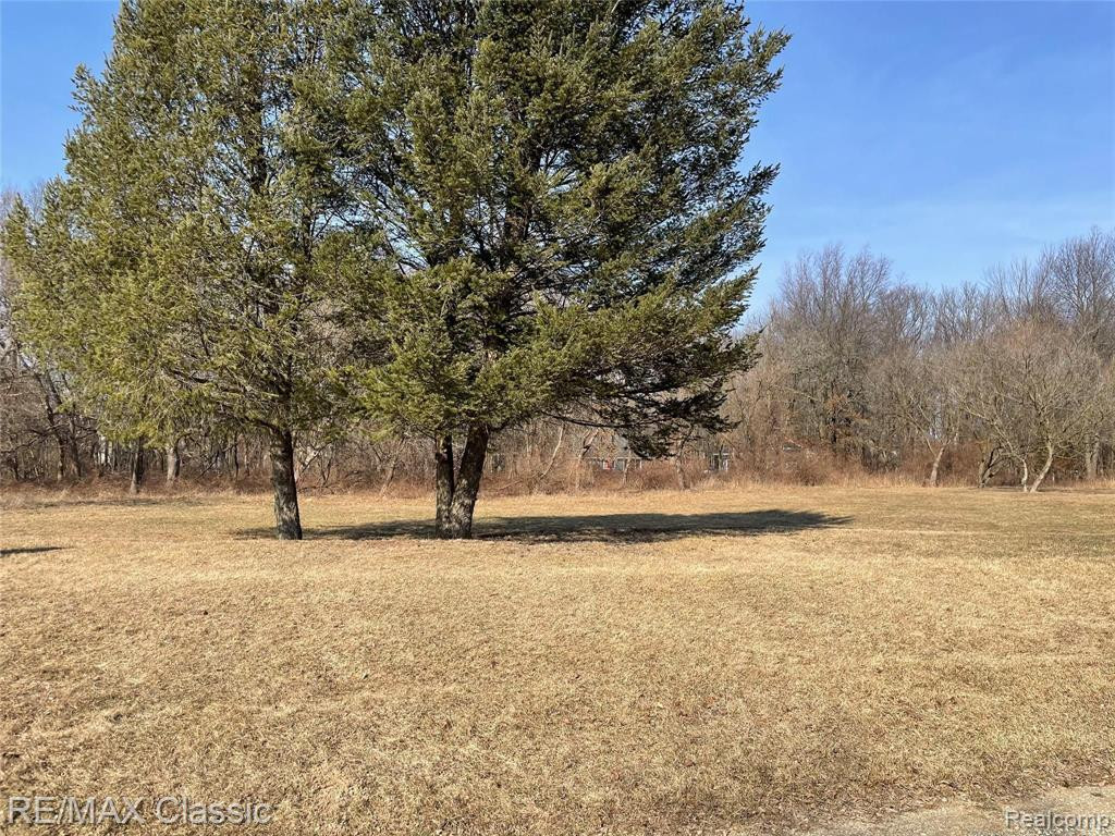 835 Adams Rd, Milford, MI 48381 — Photo 8