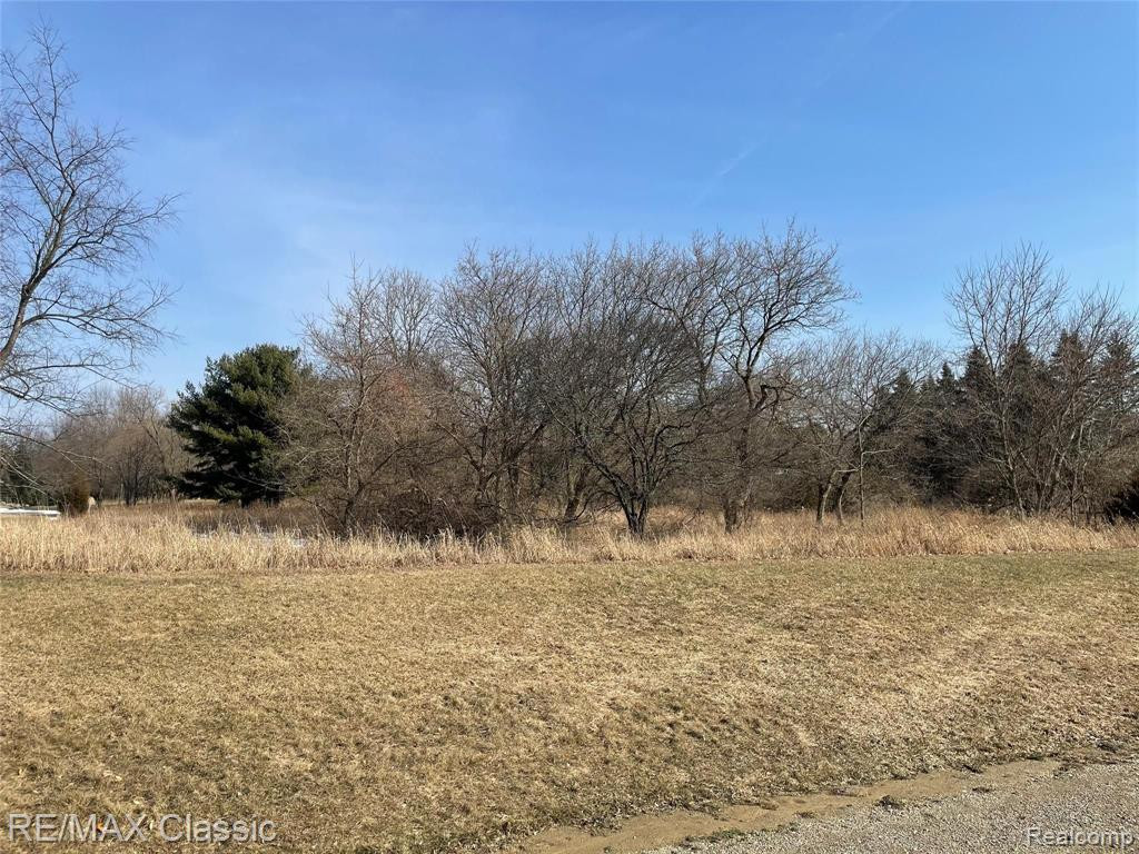 835 Adams Rd, Milford, MI 48381 — Photo 12