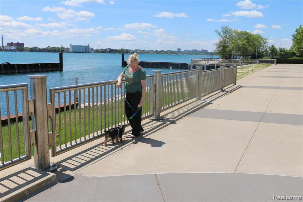 3320 SPINNAKER LN, 3E, Detroit, MI 48207 — Photo 28