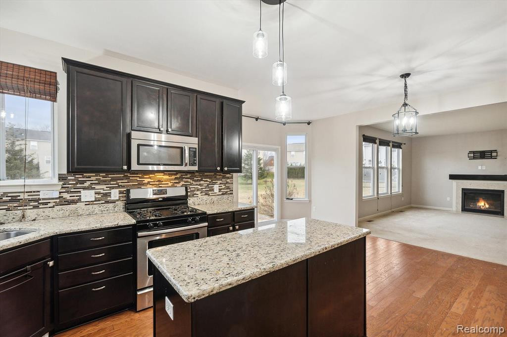 3860 Silver Charm Ln Lane, Howell, MI 48843 — Photo 17