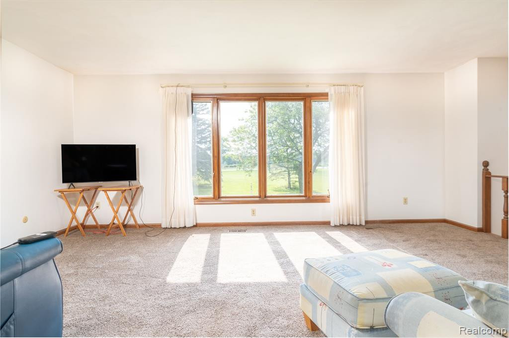 35 N M52, Webberville, MI 48892 — Photo 7