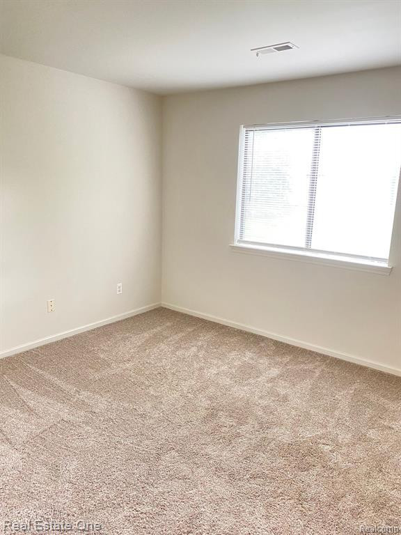 42764 LILLEY POINTE Drive, Canton, MI 48187 — Photo 13