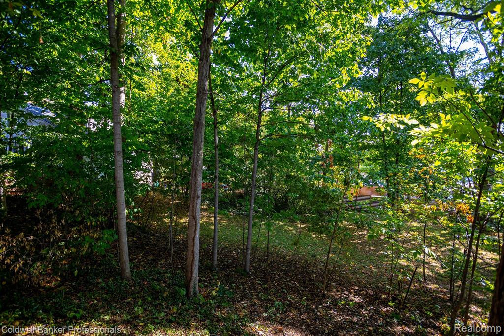 462 EAST Street, Northville, MI 48167 — Photo 27