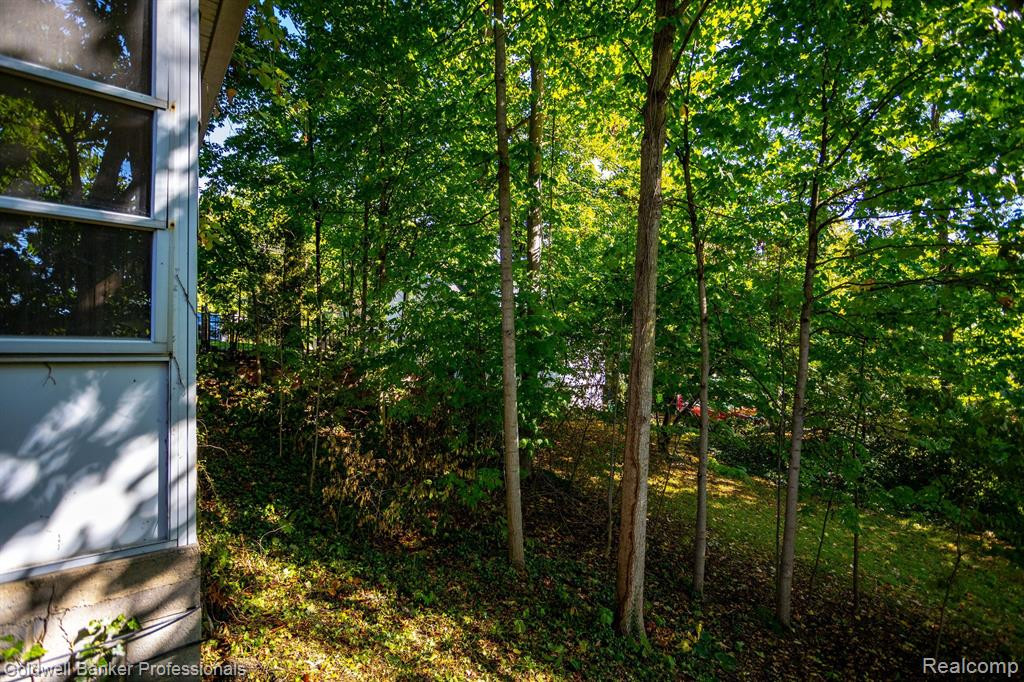 462 EAST Street, Northville, MI 48167 — Photo 28