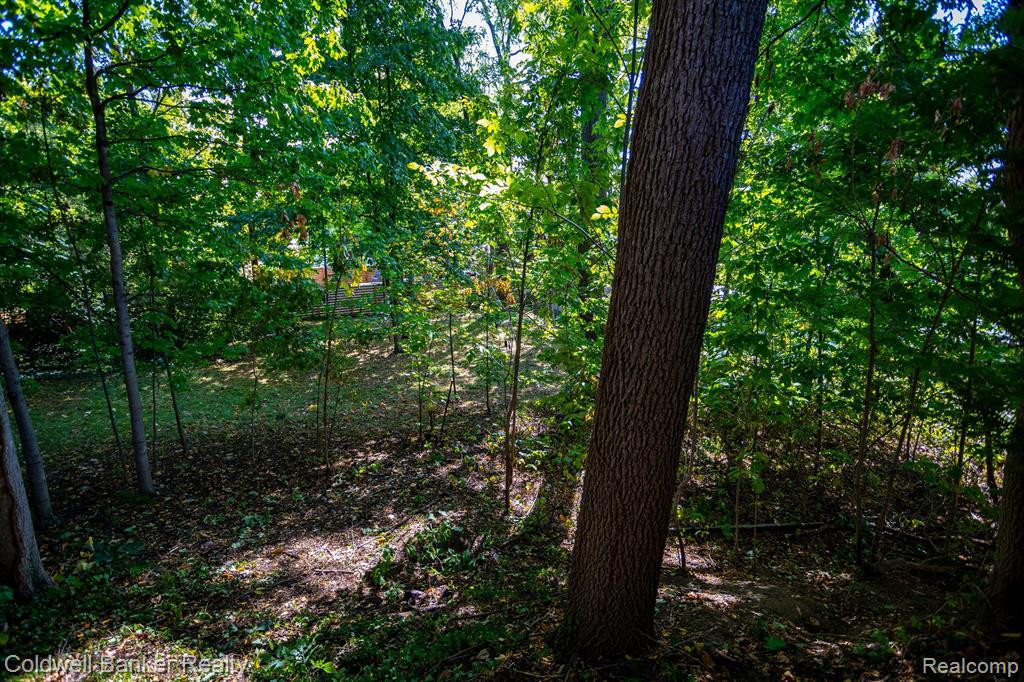462 EAST Street, Northville, MI 48167 — Photo 29