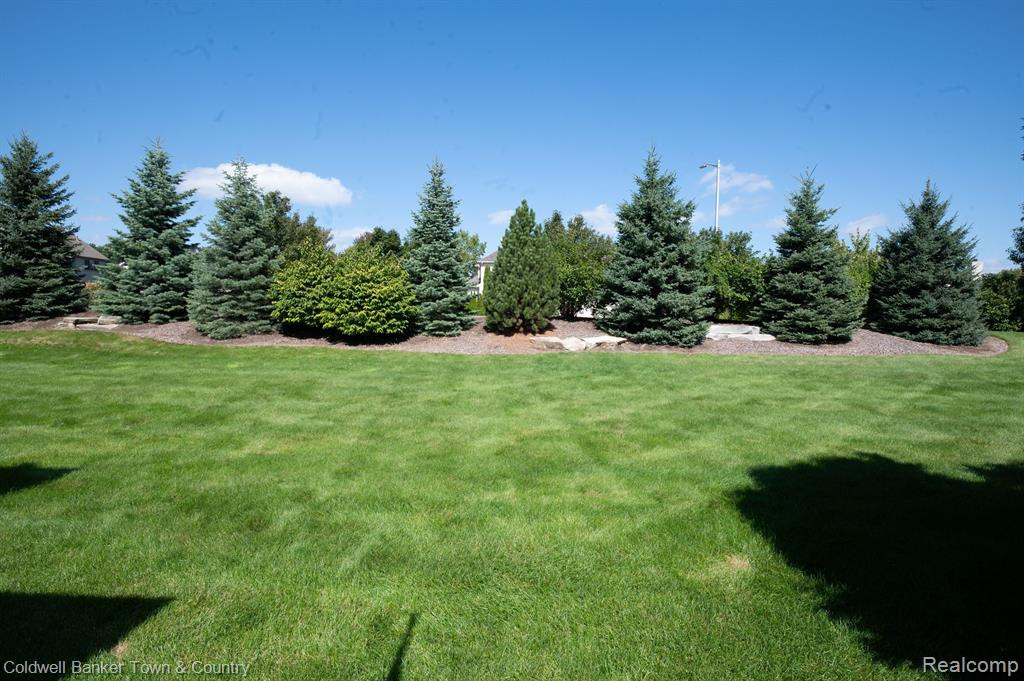 1202 ARBOR RIDGE Drive, Brighton, MI 48116 — Photo 18
