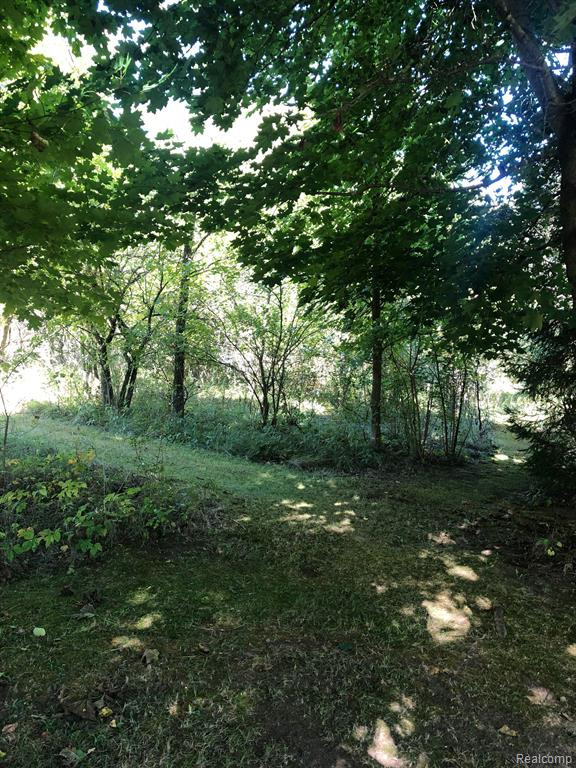 3310 MERIDIAN Road, Leslie, MI 49251 — Photo 45
