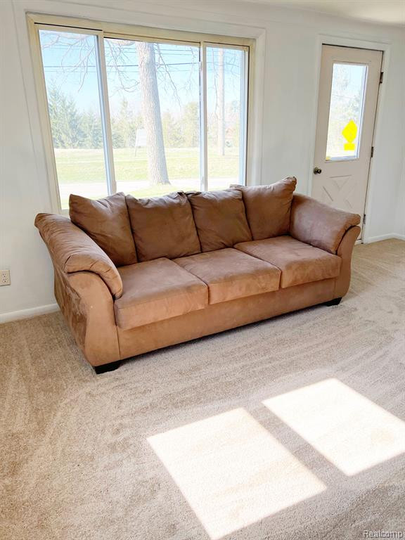 144 W ELIZABETH Street, Lake Orion, MI 48362 — Photo 8