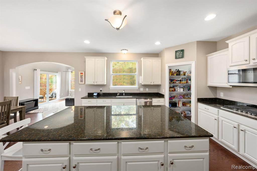 58206 SUNFLOWER Circle N, New Hudson, MI 48165 — Photo 16