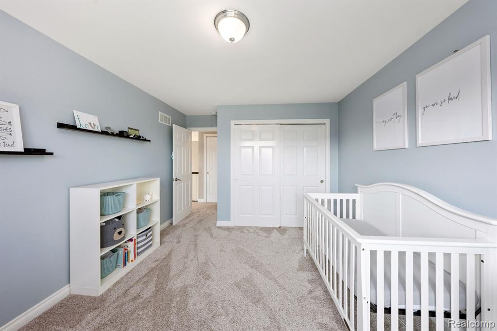 58206 SUNFLOWER Circle N, New Hudson, MI 48165 — Photo 23