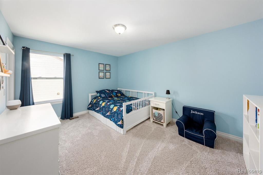 58206 SUNFLOWER Circle N, New Hudson, MI 48165 — Photo 24