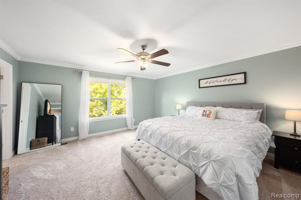 58206 SUNFLOWER Circle N, New Hudson, MI 48165 — Photo 27