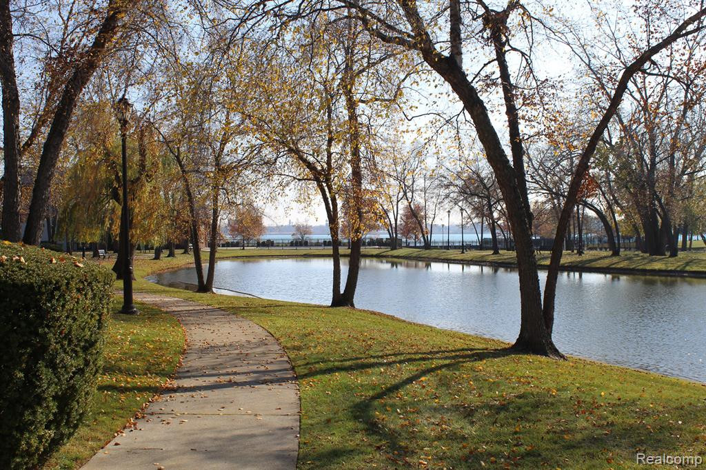 235 WINDWARD, Detroit, MI 48207 — Photo 28