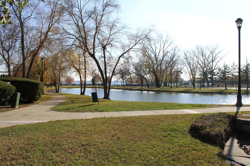 235 WINDWARD, Detroit, MI 48207 — Photo 29