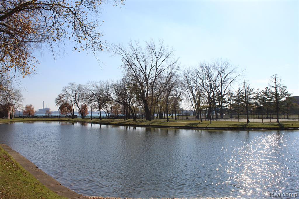 235 WINDWARD, Detroit, MI 48207 — Photo 32