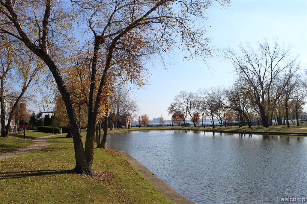 235 WINDWARD, Detroit, MI 48207 — Photo 33