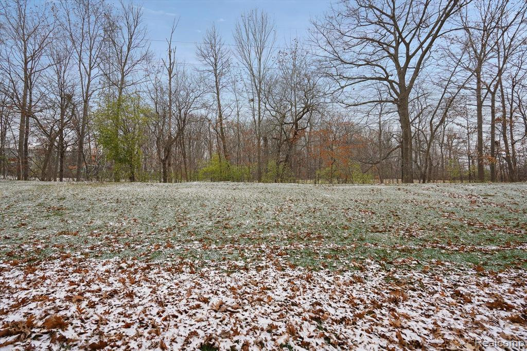 42739 LILLEY POINTE Drive, Canton, MI 48187 — Photo 24