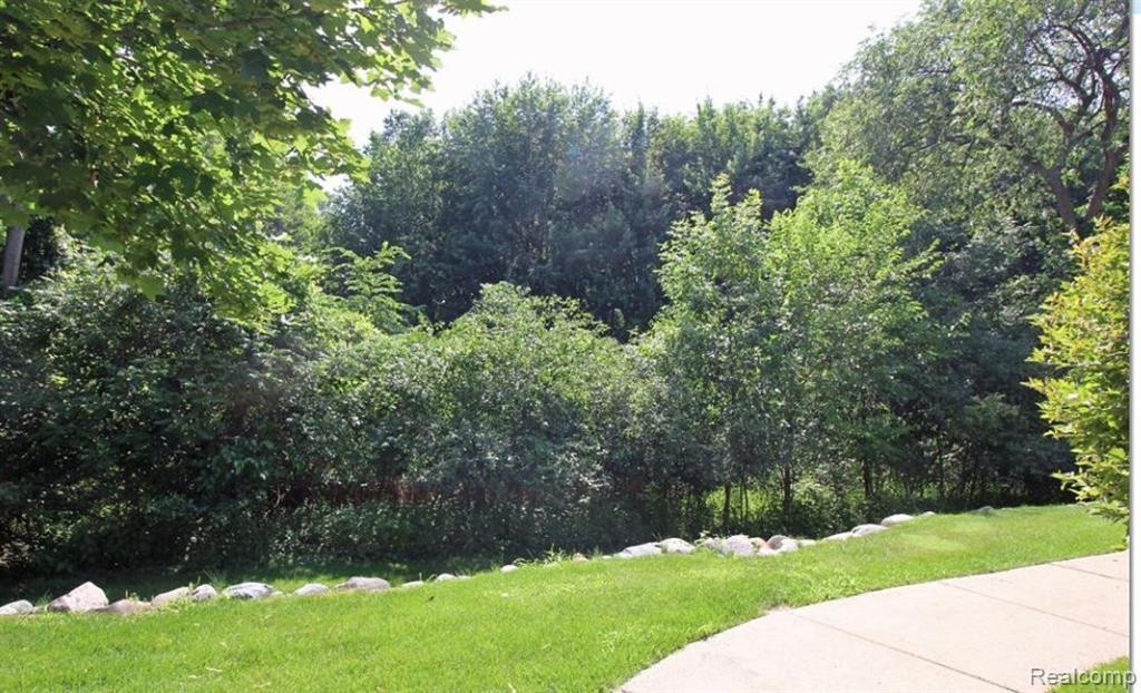 44762 MARIGOLD Drive, Sterling Heights, MI 48314 — Photo 3