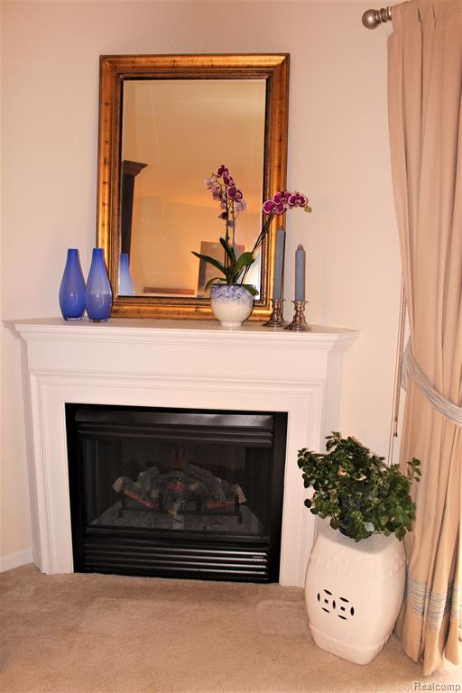 4441 SOUTHBRIDGE Drive, Canton, MI 48188 — Photo 8