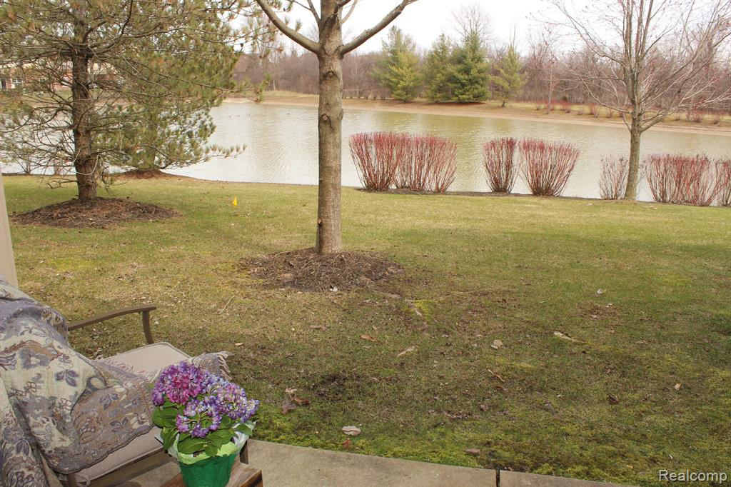 4441 SOUTHBRIDGE Drive, Canton, MI 48188 — Photo 22