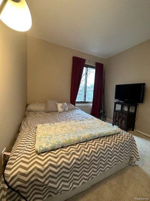 9699 HARBOUR COVE, Ypsilanti, MI 48197 — Photo 13