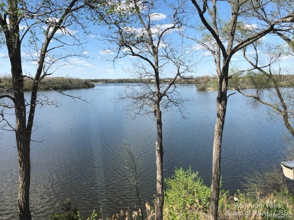 9699 HARBOUR COVE, Ypsilanti, MI 48197 — Photo 16