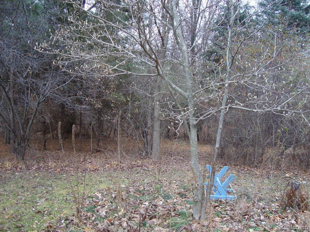 2810 W MAPLE Road, Wixom, MI 48393 — Photo 33