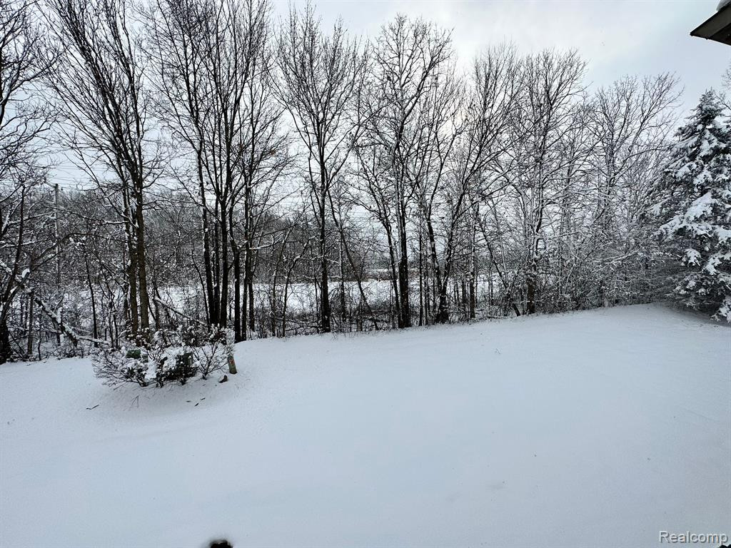 42819 LILLEY POINTE Drive, Canton, MI 48187 — Photo 3