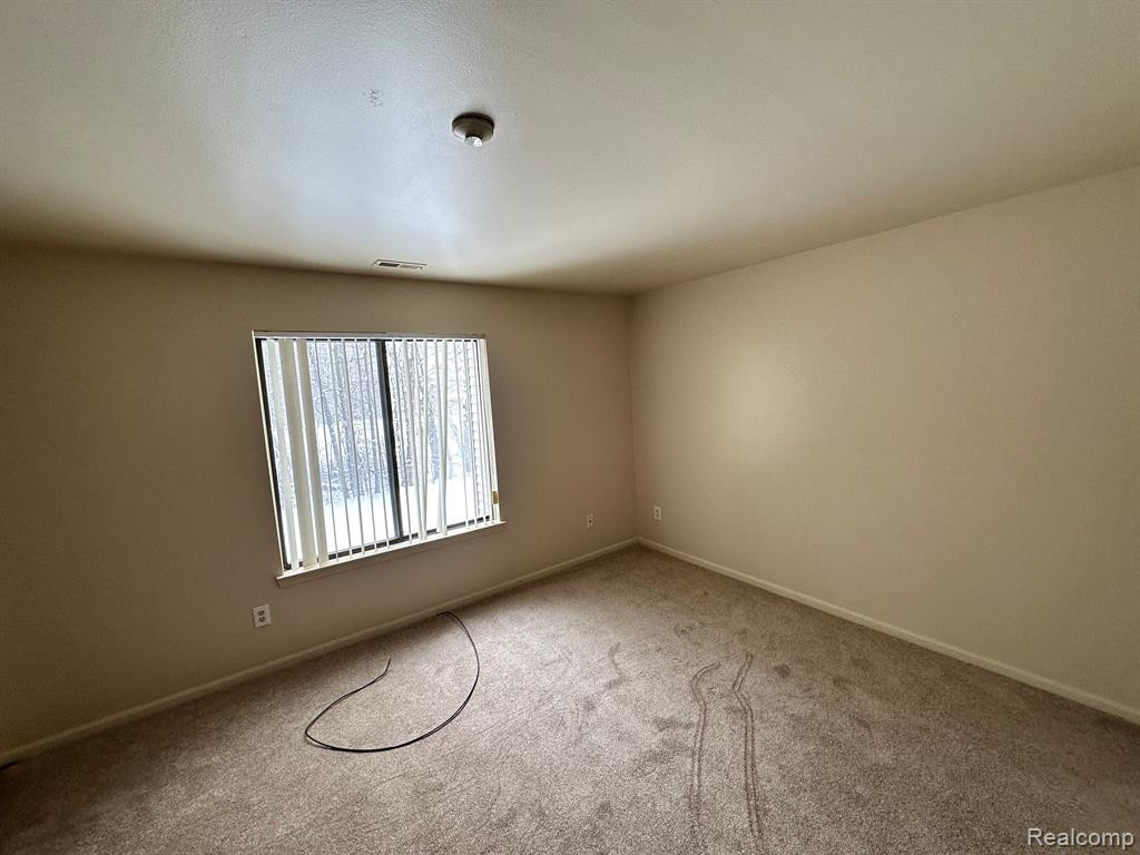 42819 LILLEY POINTE Drive, Canton, MI 48187 — Photo 14