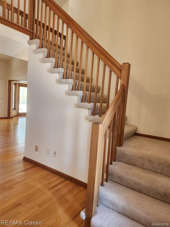 53245 ELYSIA Drive, Chesterfield, MI — Photo 8