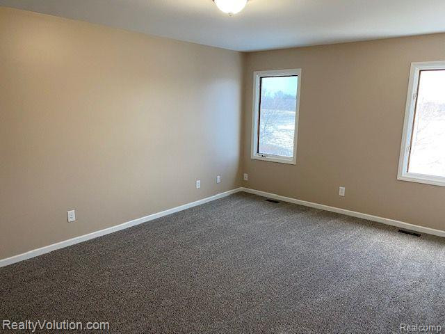 4203 S MILL Road, Dryden, MI 48428 — Photo 21