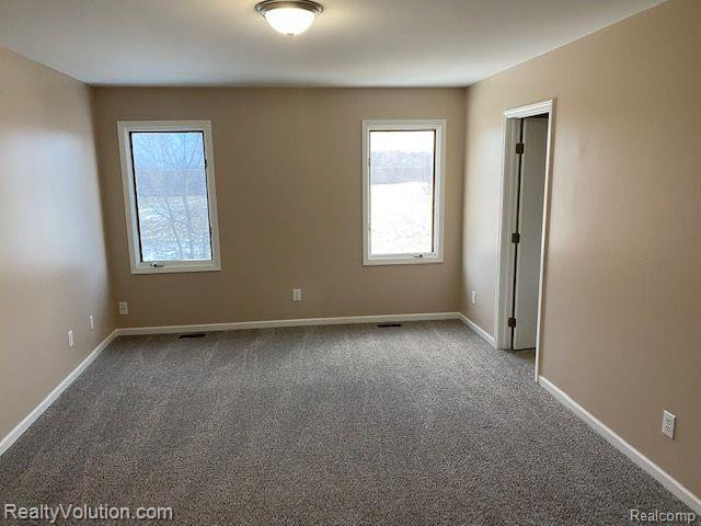 4203 S MILL Road, Dryden, MI 48428 — Photo 23