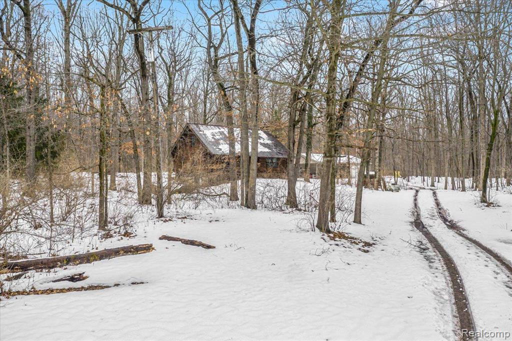 1325 BROGAN Road, Stockbridge, MI 49285 — Photo 36