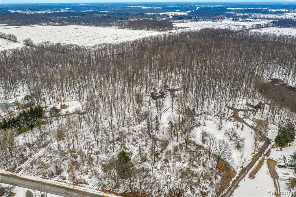 1325 BROGAN Road, Stockbridge, MI 49285 — Photo 40