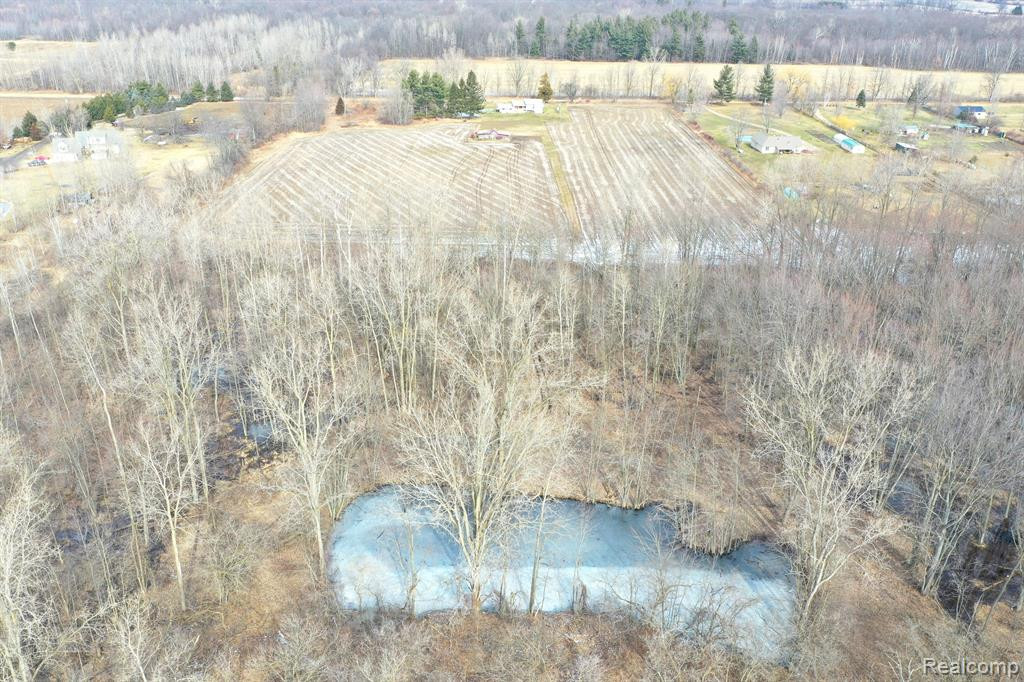 2550 DUCKER Road, North Branch, MI 48461 — Photo 5