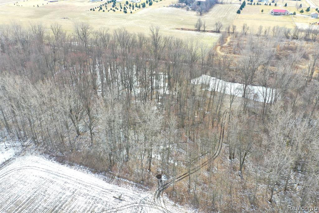 2550 DUCKER Road, North Branch, MI 48461 — Photo 35