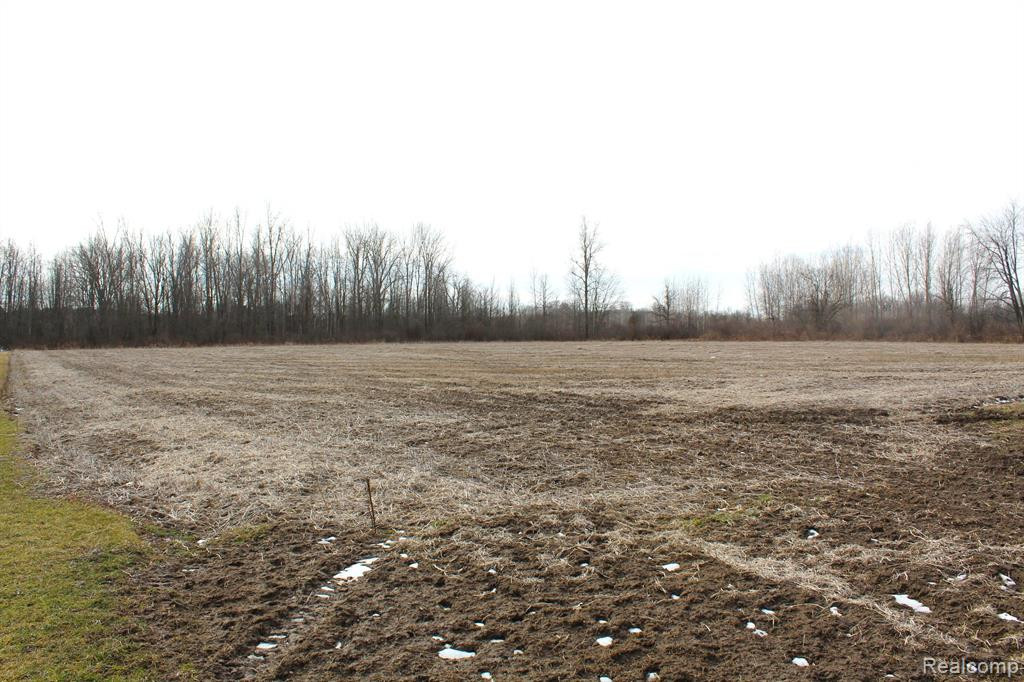 2550 DUCKER Road, North Branch, MI 48461 — Photo 43