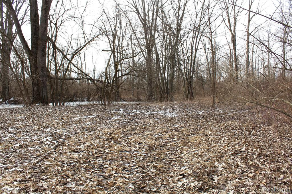 2550 DUCKER Road, North Branch, MI 48461 — Photo 46