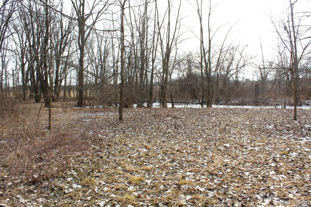2550 DUCKER Road, North Branch, MI 48461 — Photo 47