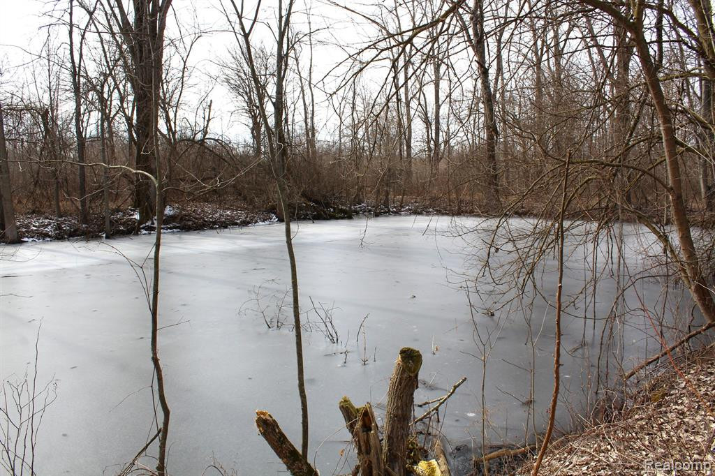 2550 DUCKER Road, North Branch, MI 48461 — Photo 48