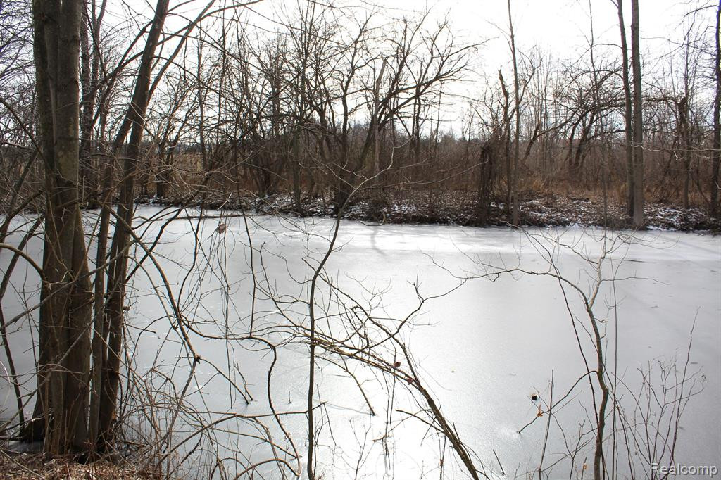 2550 DUCKER Road, North Branch, MI 48461 — Photo 49