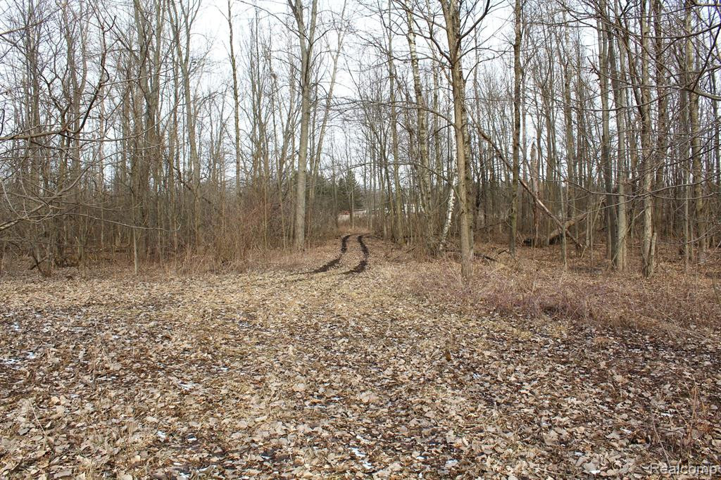 2550 DUCKER Road, North Branch, MI 48461 — Photo 50