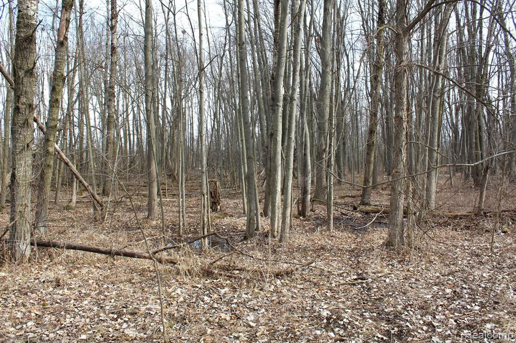 2550 DUCKER Road, North Branch, MI 48461 — Photo 51