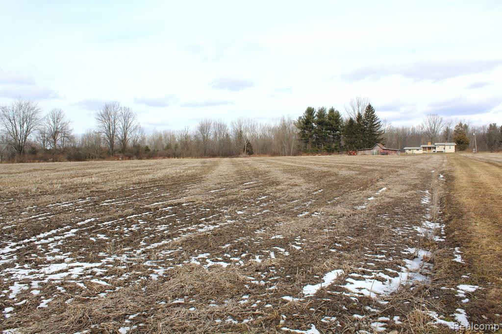 2550 DUCKER Road, North Branch, MI 48461 — Photo 53