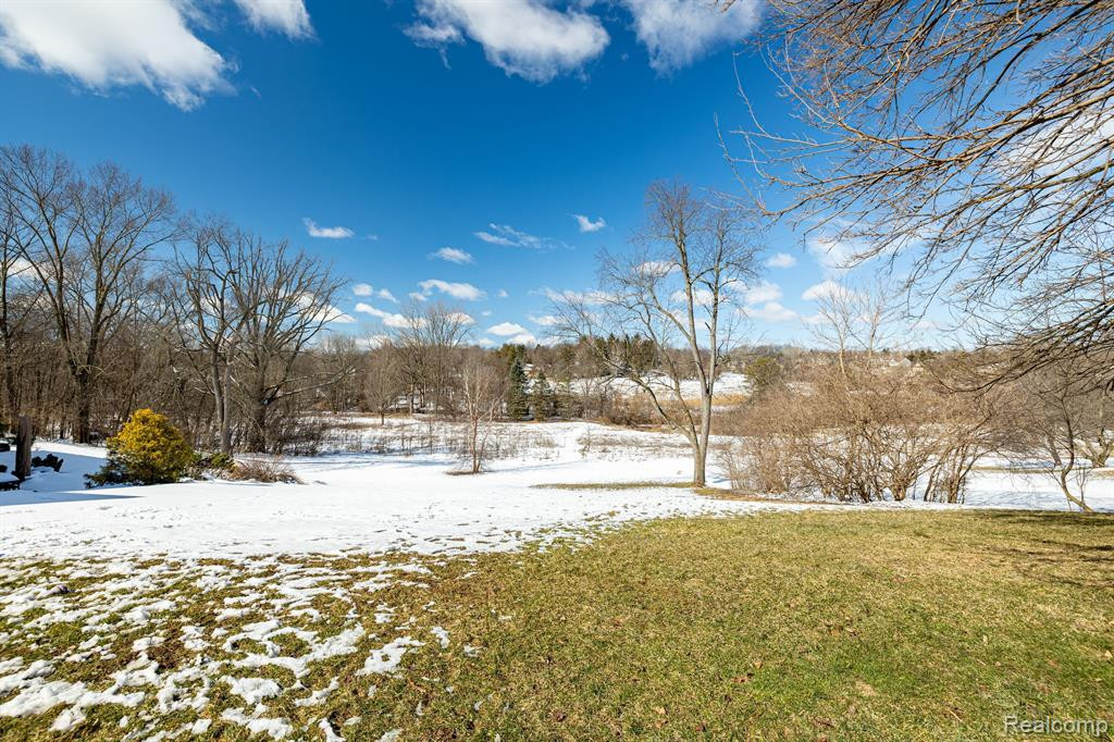 4435 E LOCH ALPINE Drive, Ann Arbor, MI 48103 — Photo 3