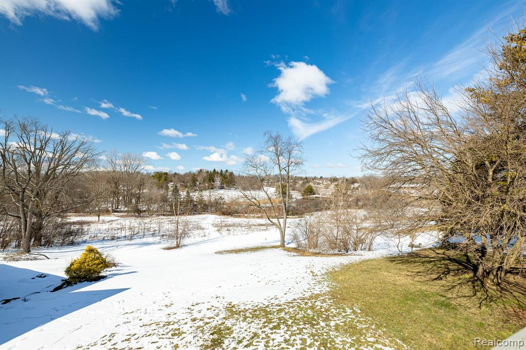 4435 E LOCH ALPINE Drive, Ann Arbor, MI 48103 — Photo 9