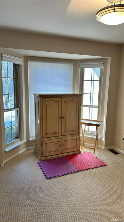 2217 LONE WOLF Lane, Canton, MI 48188 — Photo 8