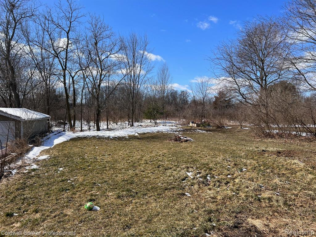 315 N SHIAWASSEE Street N, Bancroft, MI 48414 — Photo 15