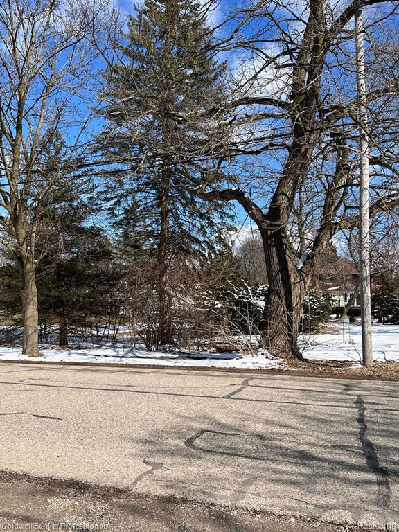 315 N SHIAWASSEE Street N, Bancroft, MI 48414 — Photo 18